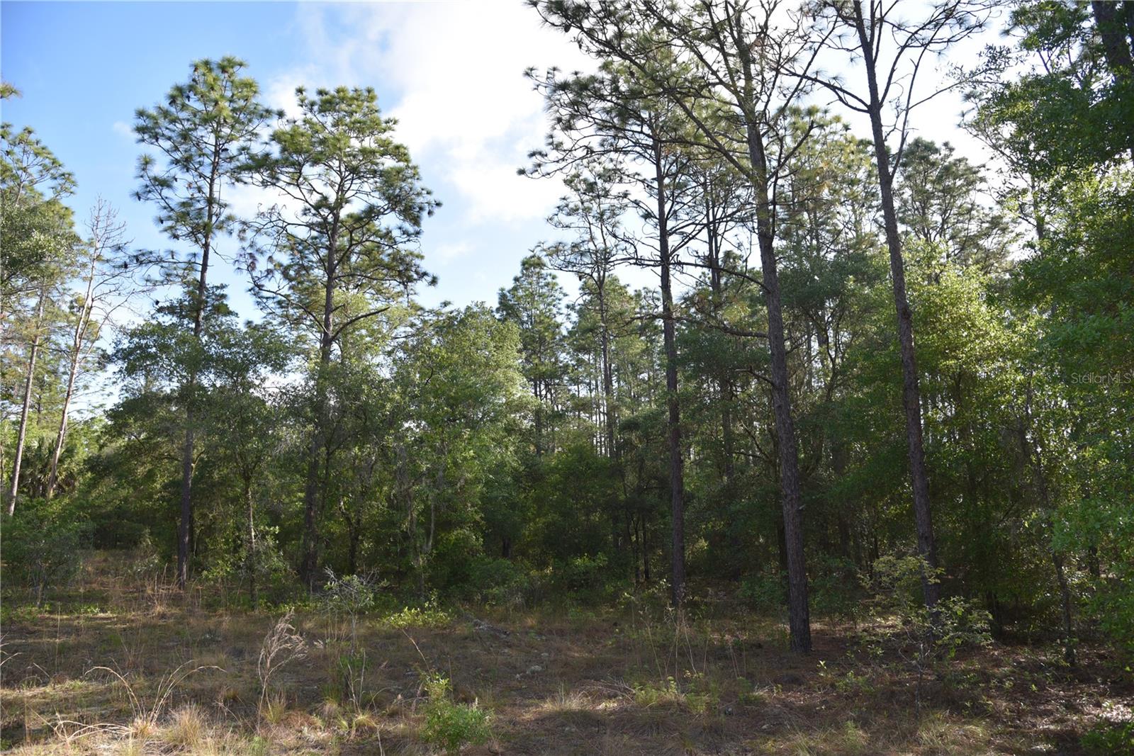 RAINBOW FARMS - Land