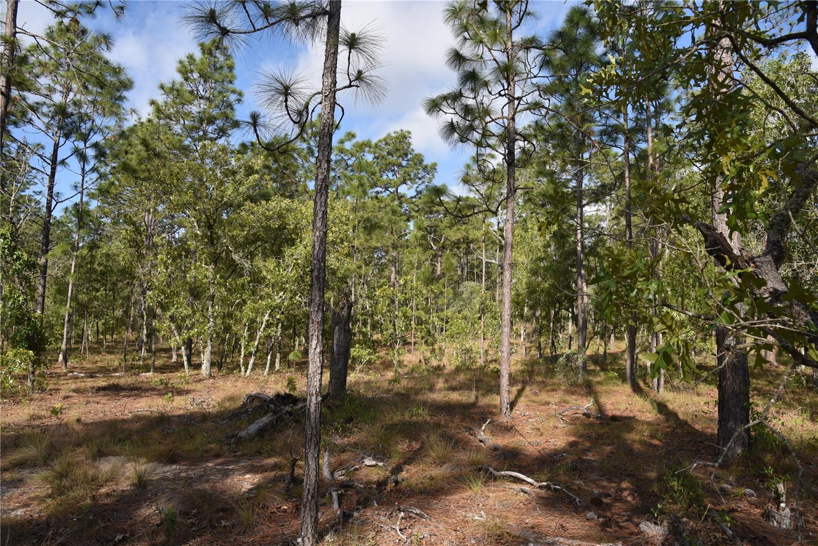 RAINBOW FARMS - Land