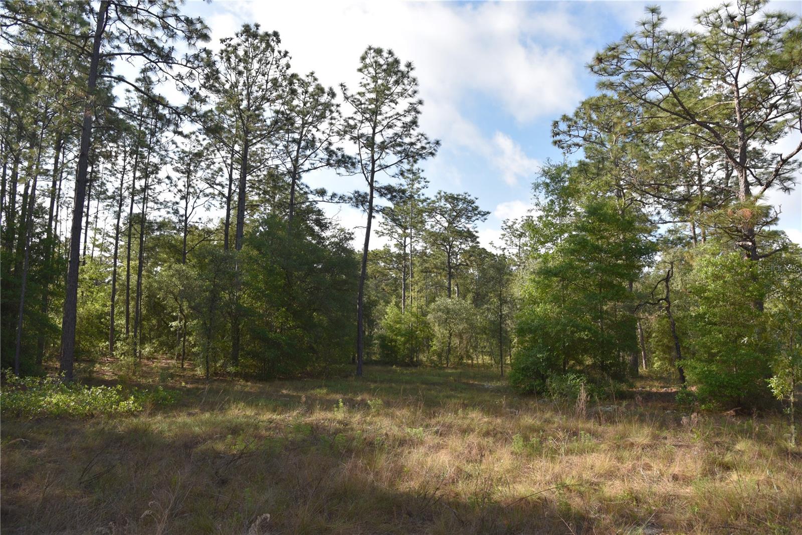 RAINBOW FARMS - Land