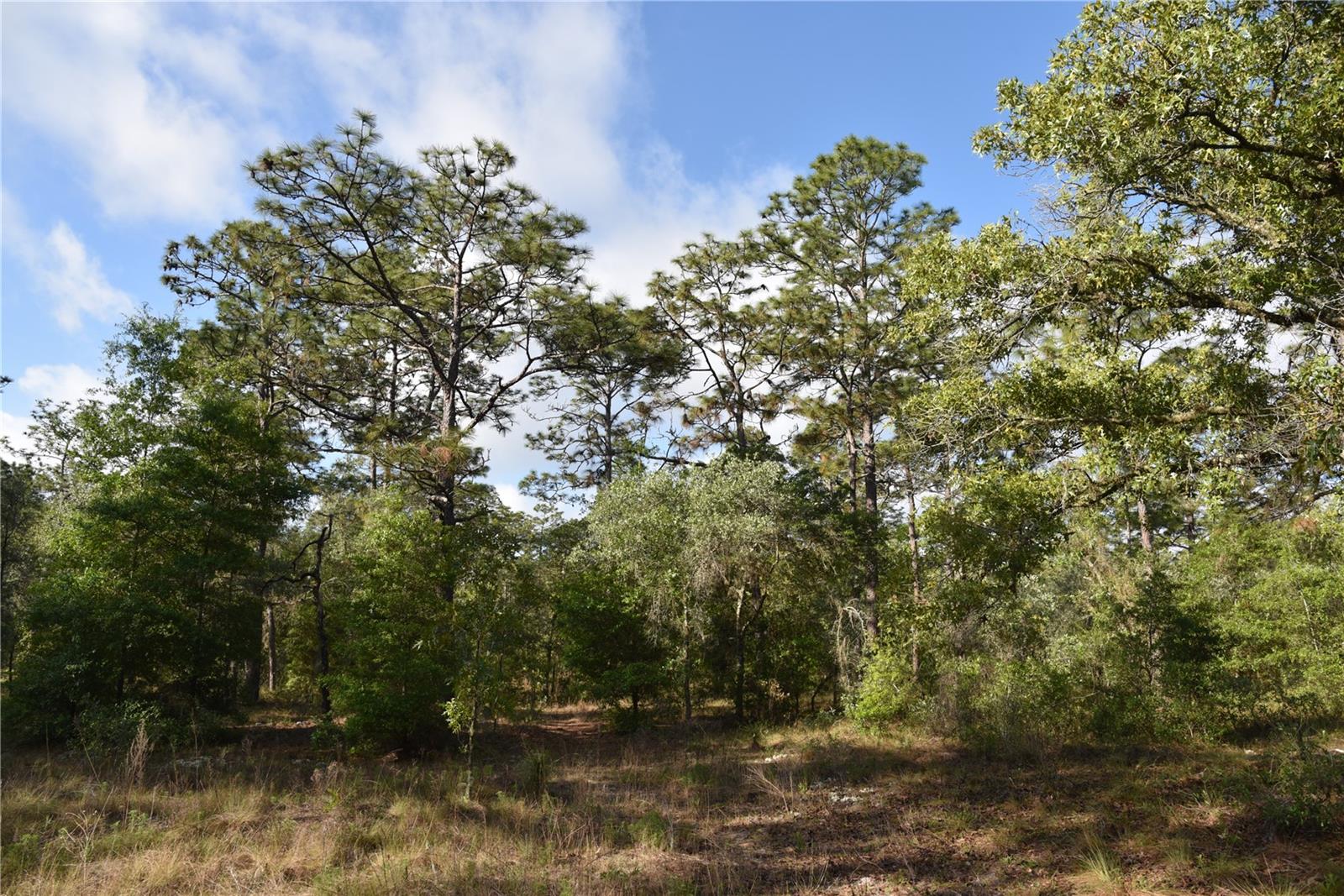 RAINBOW FARMS - Land