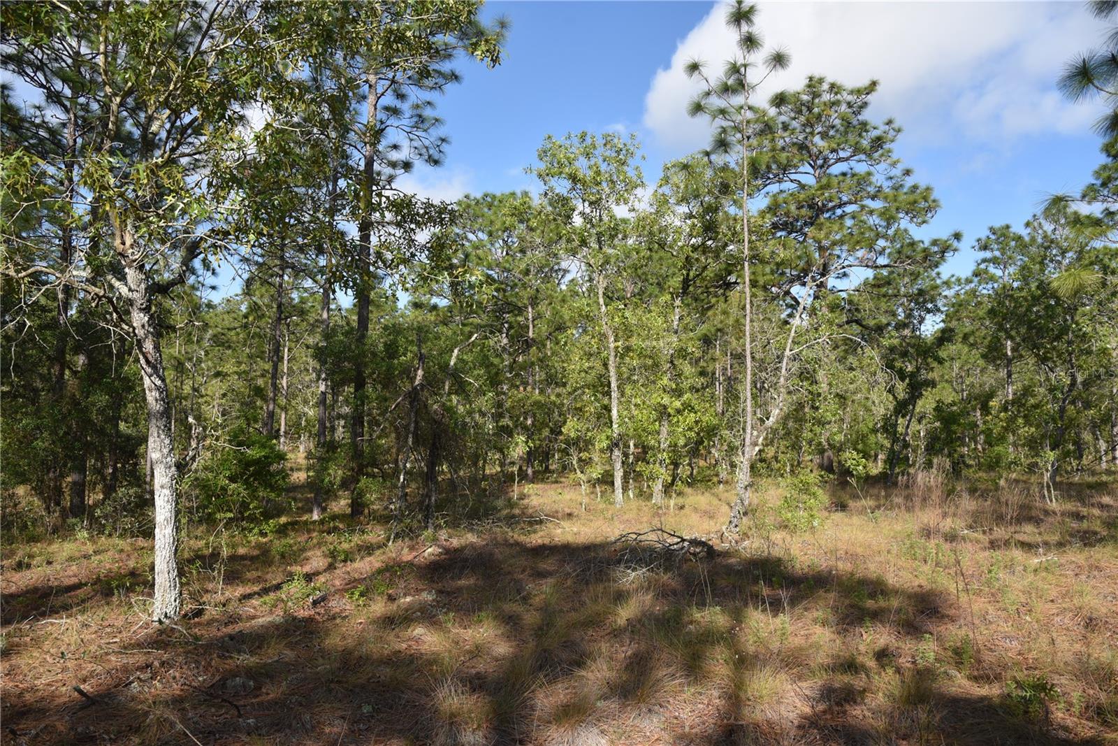 RAINBOW FARMS - Land