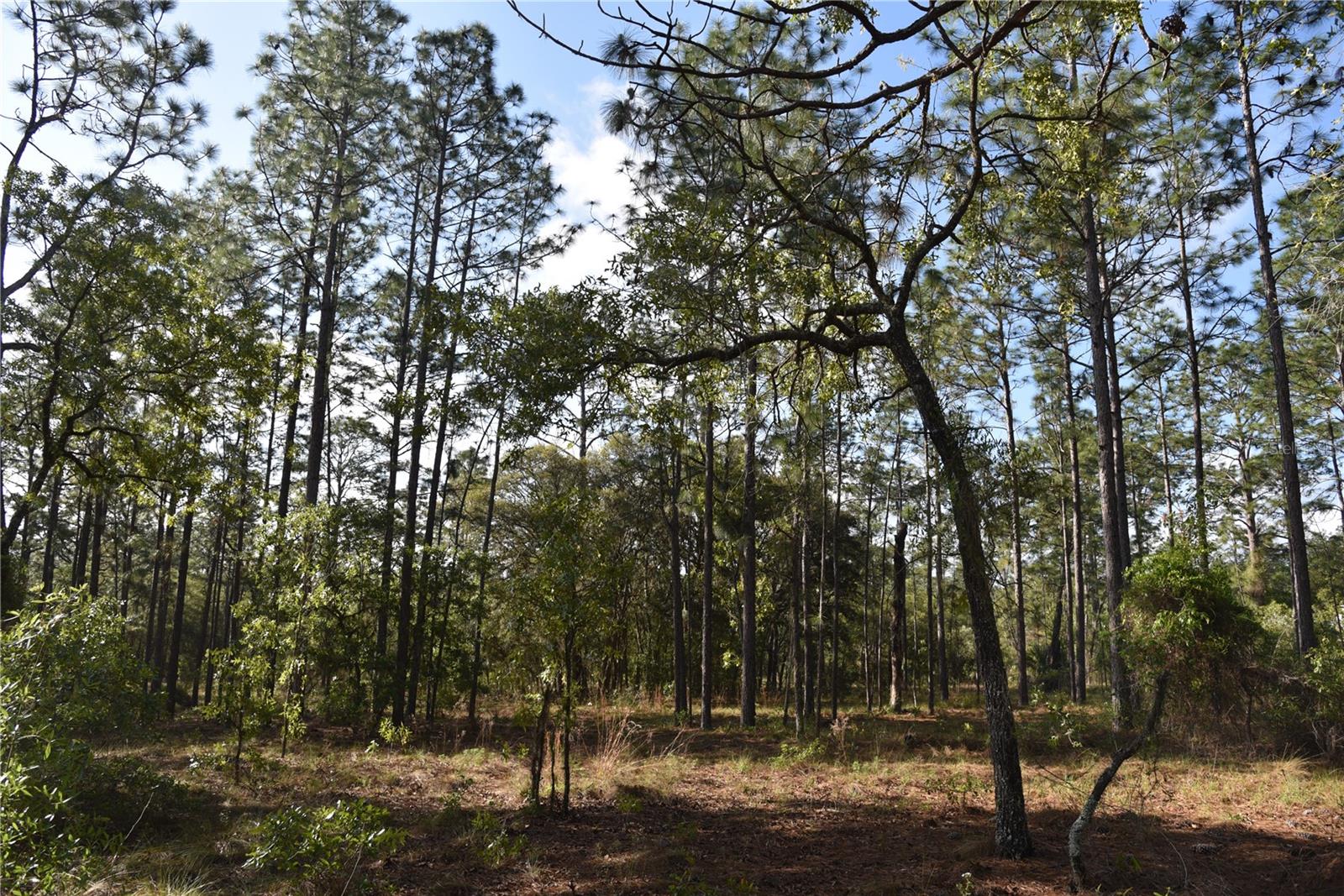 RAINBOW FARMS - Land