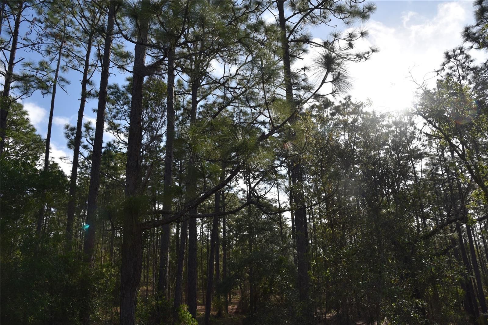 RAINBOW FARMS - Land