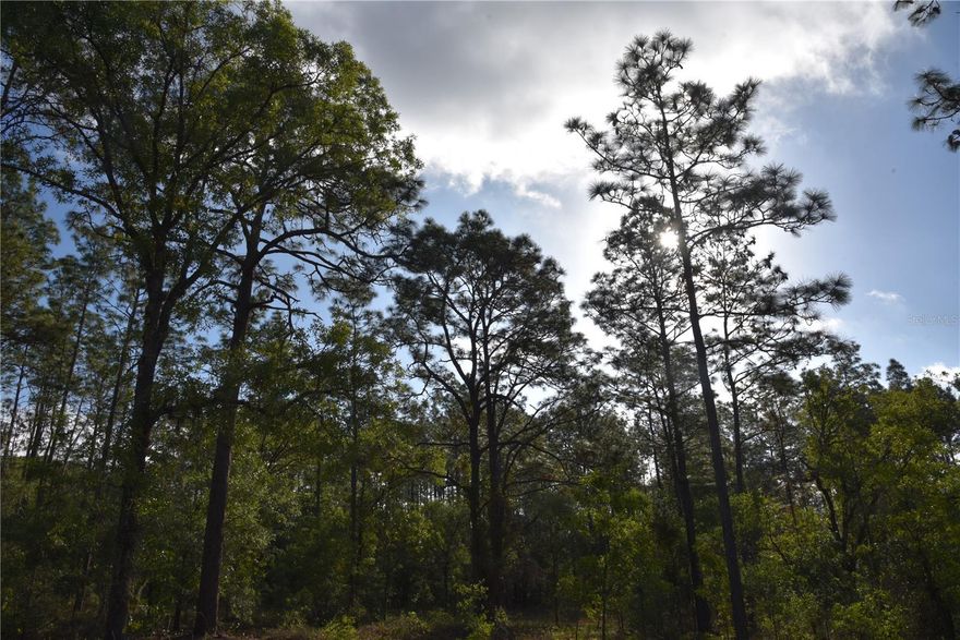 Located west of Ocala and North of Dunnellon, this property will provide rural living, but is still close enough to town for day to day activities. There is a nearby neighborhood directly west of the property, so there’s a possibility of this tract being plotted out for a family division, or maybe more development. It would set up great for a homesite with plenty of space for recreational use. The property has elevation and topography, making for great views. Feel free to give me a call if you have any questions, or would like to schedule a showing.