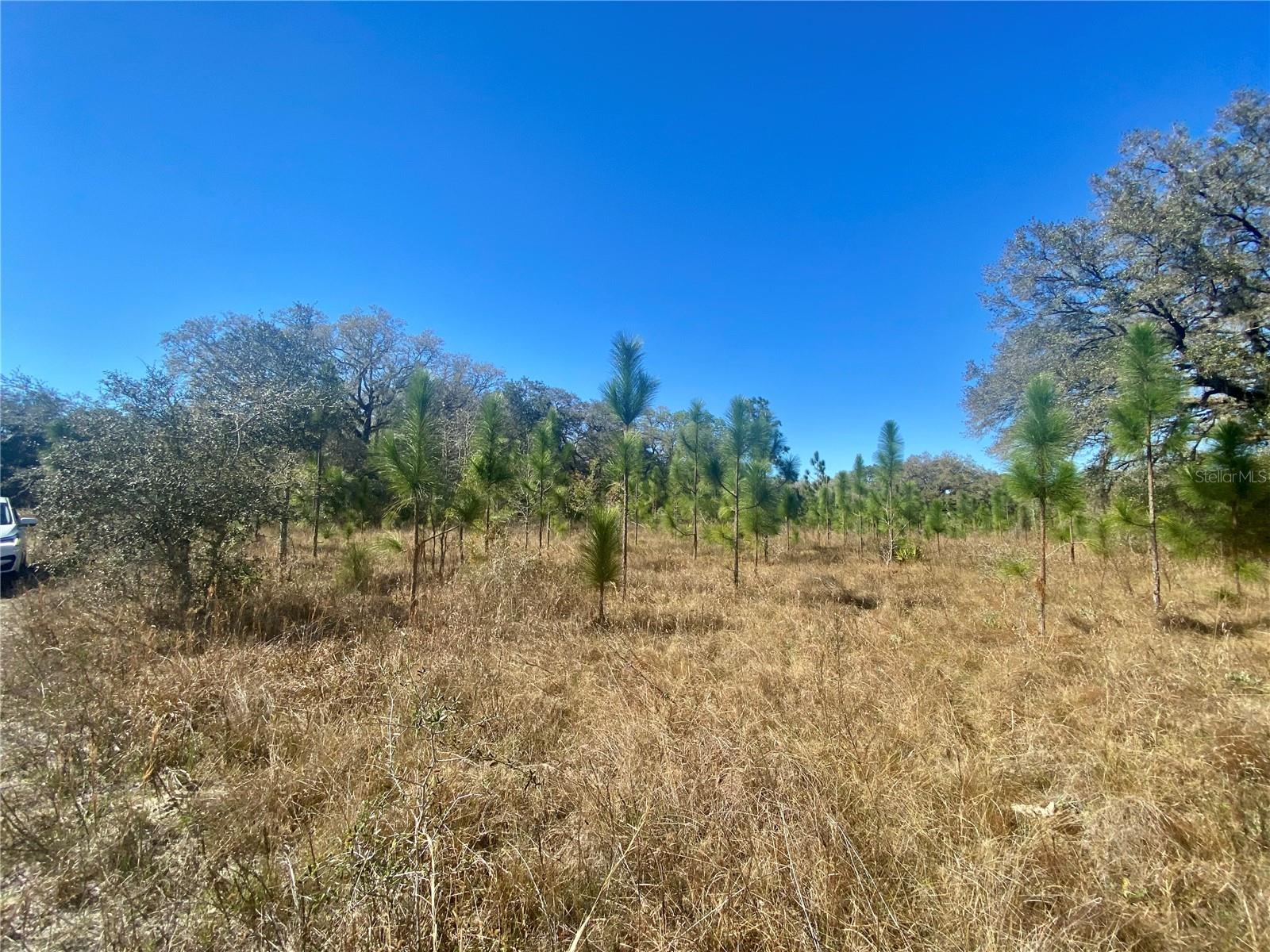 ACREAGE & UNREC - Land