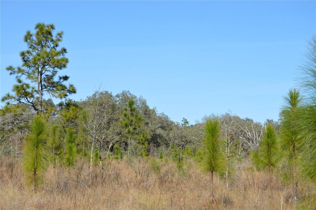 Photo of 00 Unnamed, Spring Hill, FL 34610 (MLS # TB8401223)