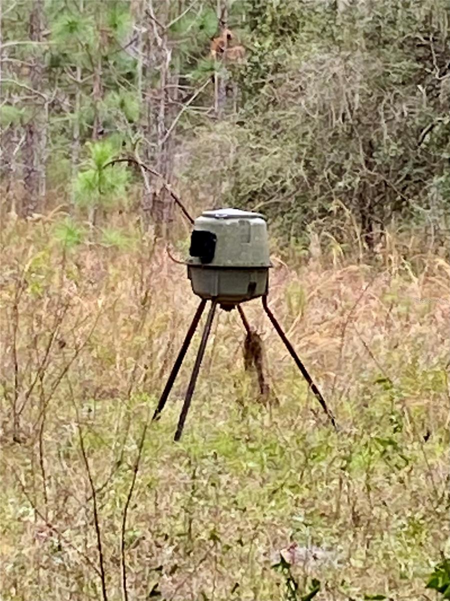 ACREAGE & UNREC - Land