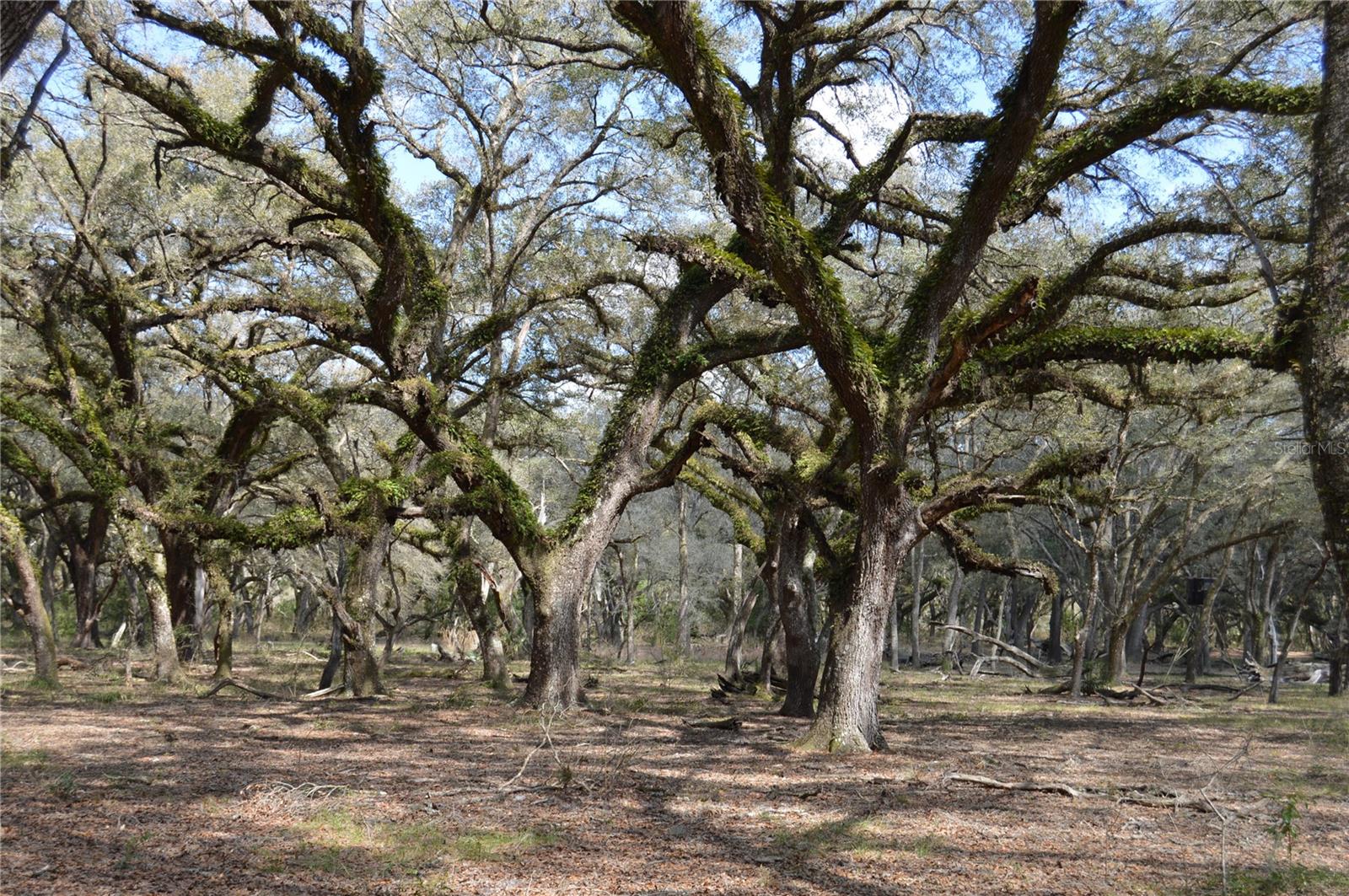 ACREAGE & UNREC - Land