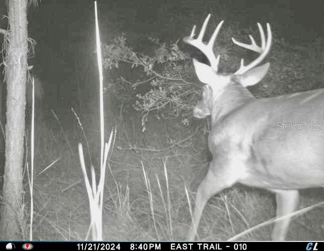 ACREAGE & UNREC - Land