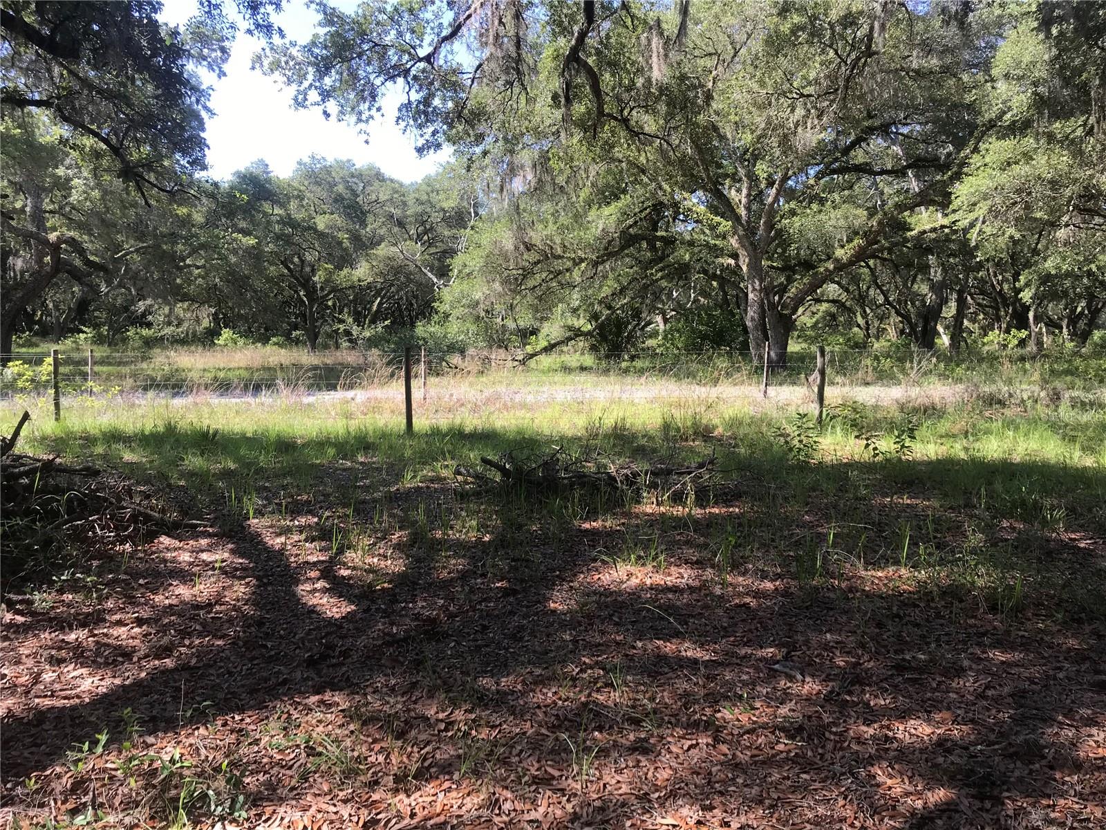 ACREAGE & UNREC - Land