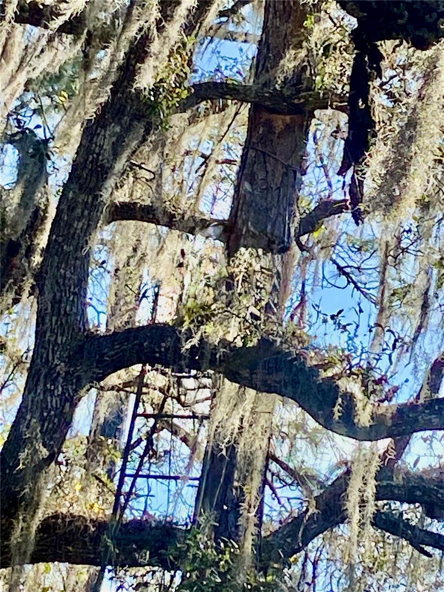 ACREAGE & UNREC - Land