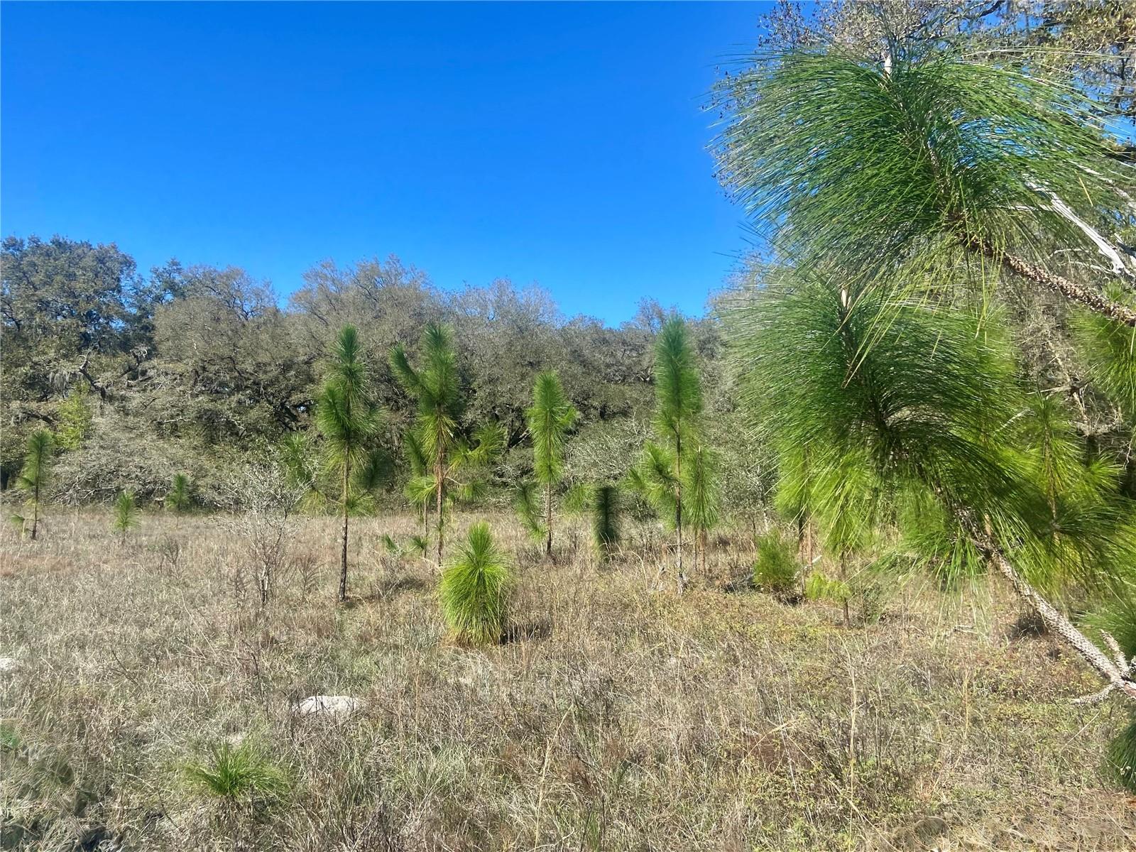 ACREAGE & UNREC - Land