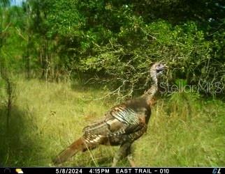 ACREAGE & UNREC - Land