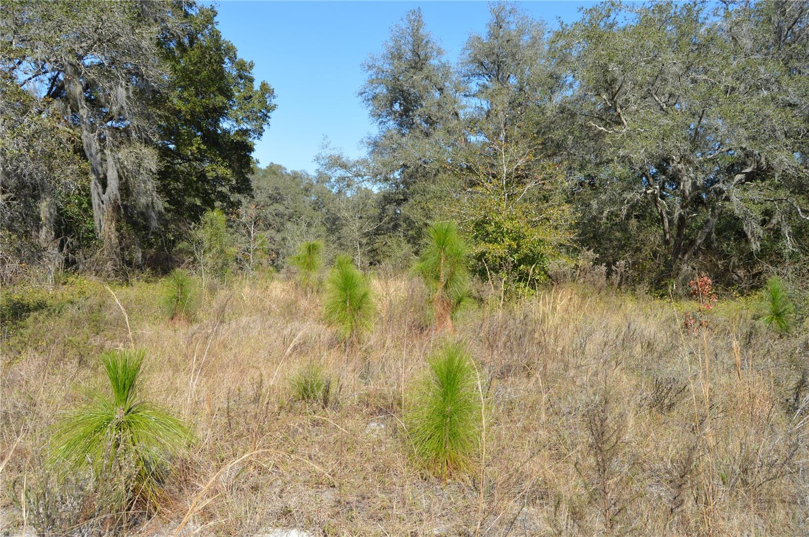 ACREAGE & UNREC - Land