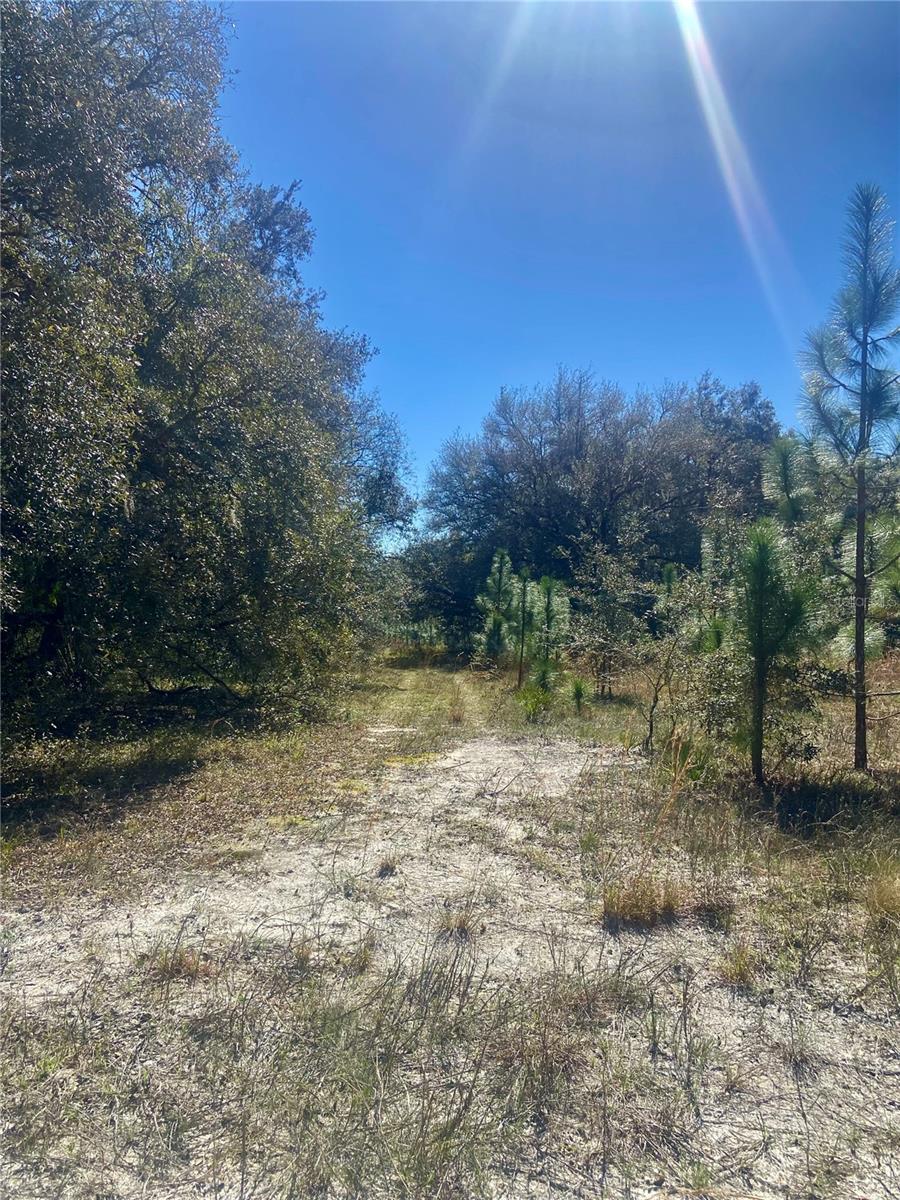 ACREAGE & UNREC - Land