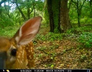 ACREAGE & UNREC - Land