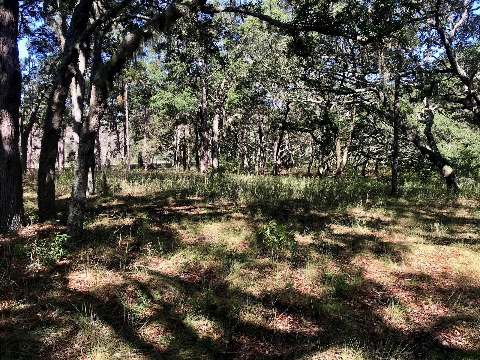 ACREAGE & UNREC - Land