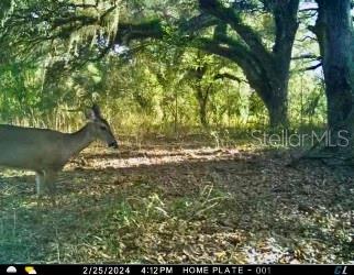 ACREAGE & UNREC - Land