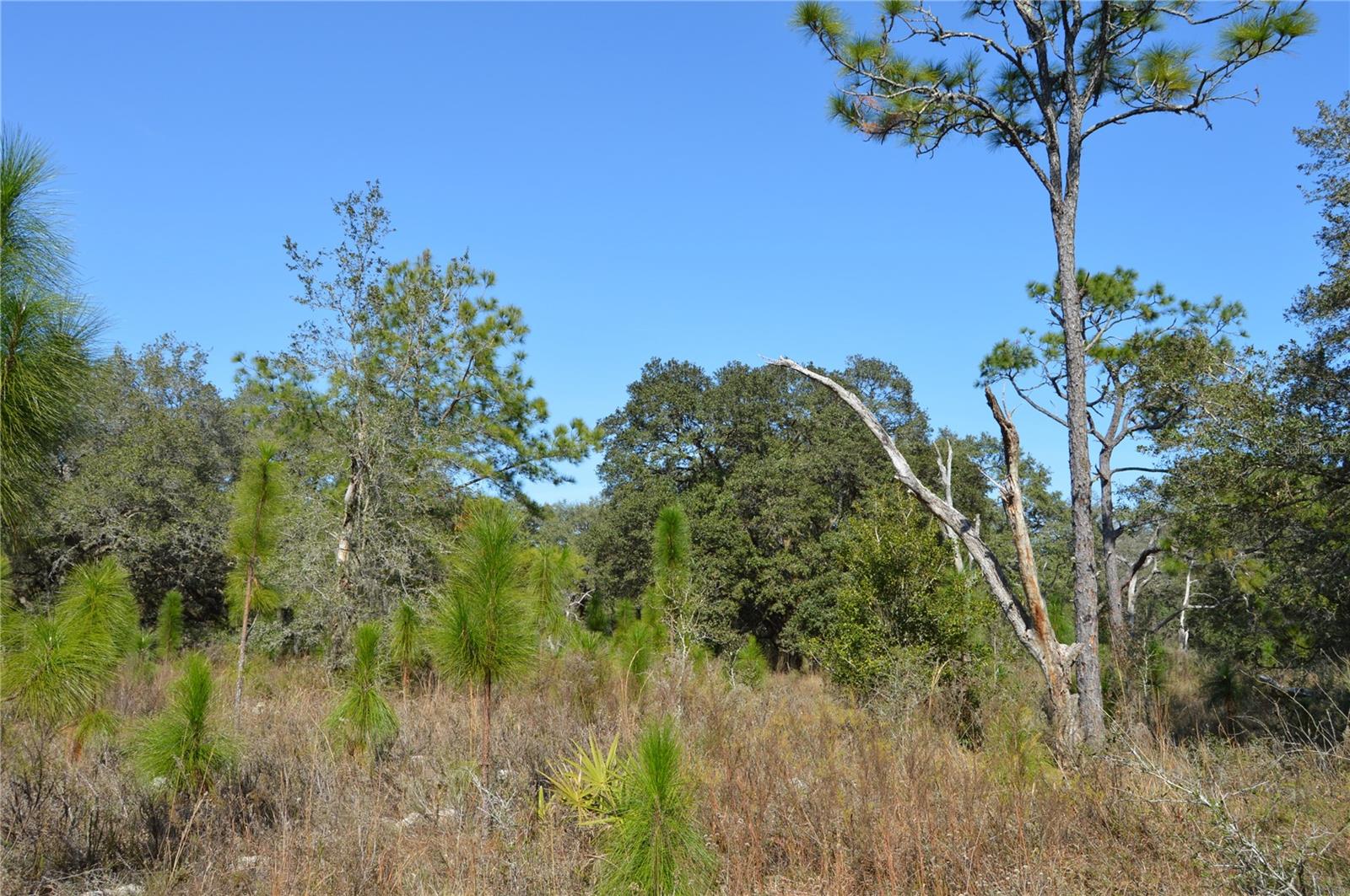 ACREAGE & UNREC - Land