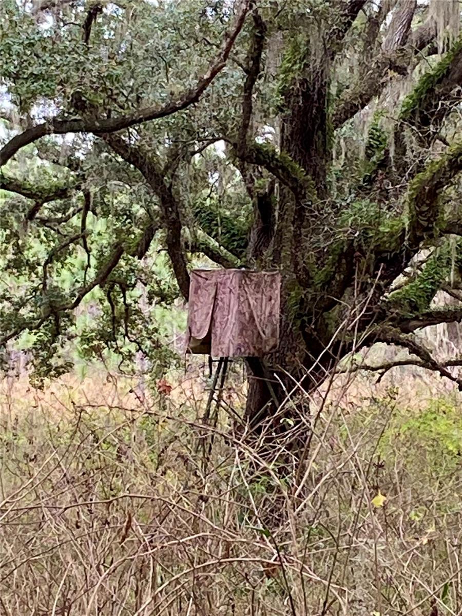 ACREAGE & UNREC - Land