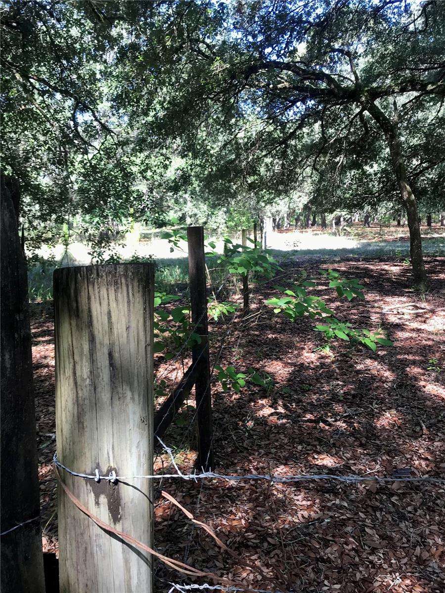 ACREAGE & UNREC - Land