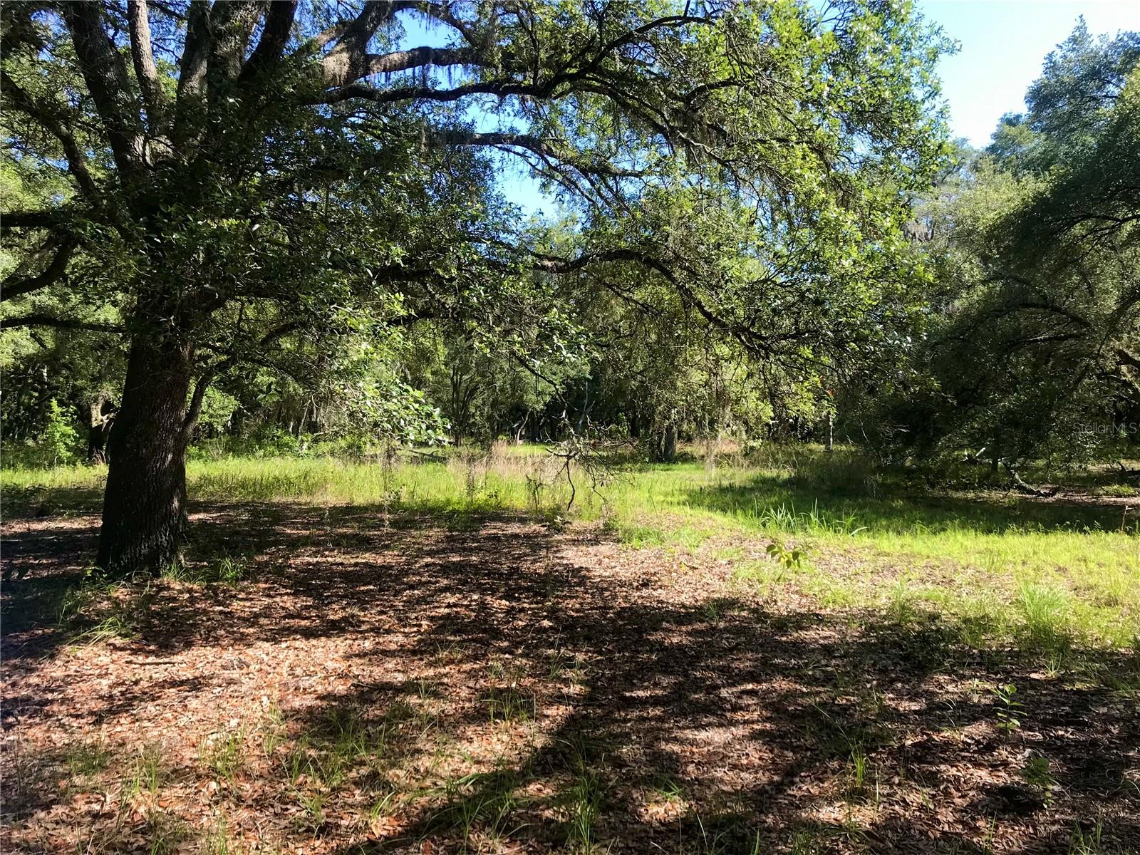 ACREAGE & UNREC - Land