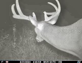 ACREAGE & UNREC - Land