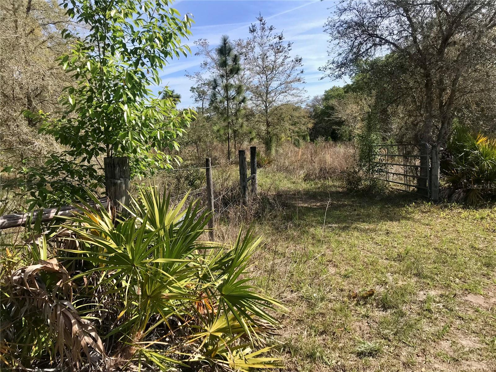 ACREAGE & UNREC - Land