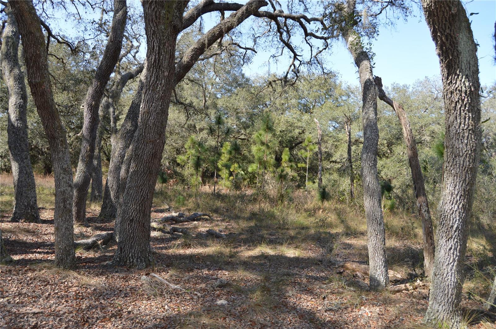 ACREAGE & UNREC - Land