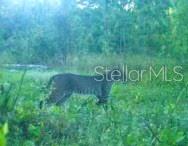 ACREAGE & UNREC - Land