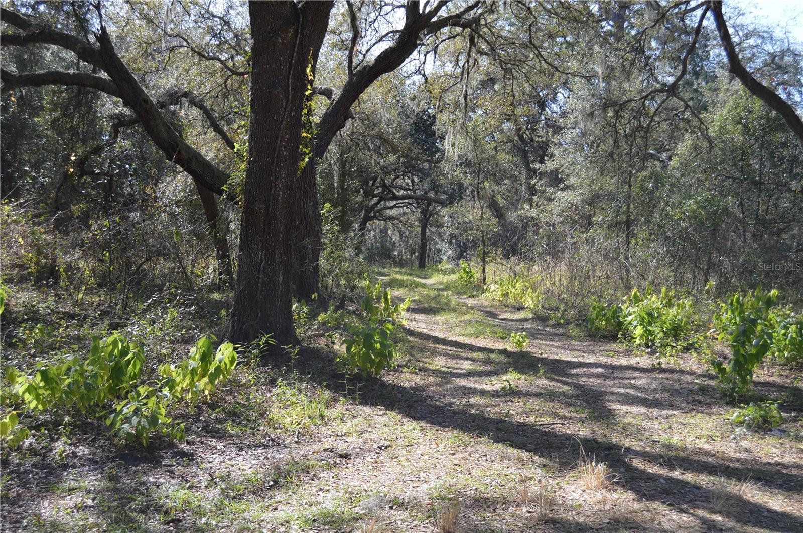 ACREAGE & UNREC - Land