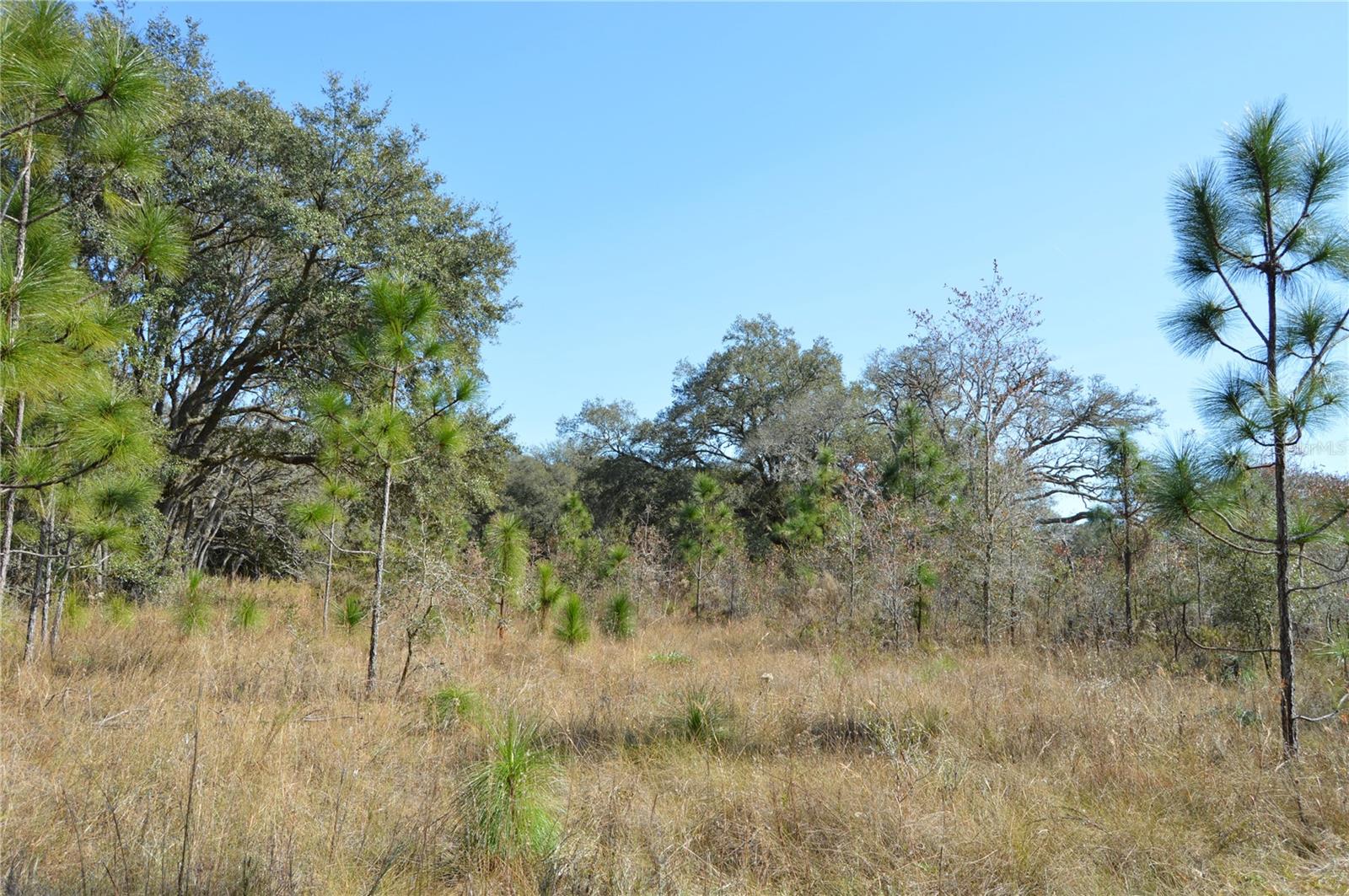 ACREAGE & UNREC - Land