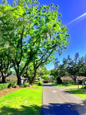 1034 VILLA LN # 18, APOPKA, FL 32712 - Image 8ca2ecd934e71c8e4328f247aeda4d17/1874049989
