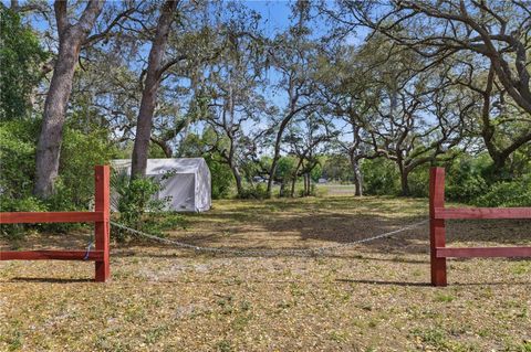 17195 SE 70TH STREET OCKLAWAHA FL 32179