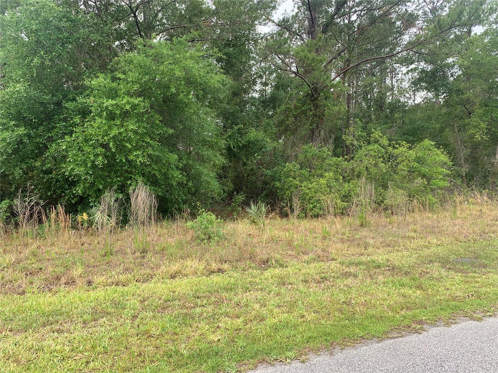 525 LIVE OAK LOOP