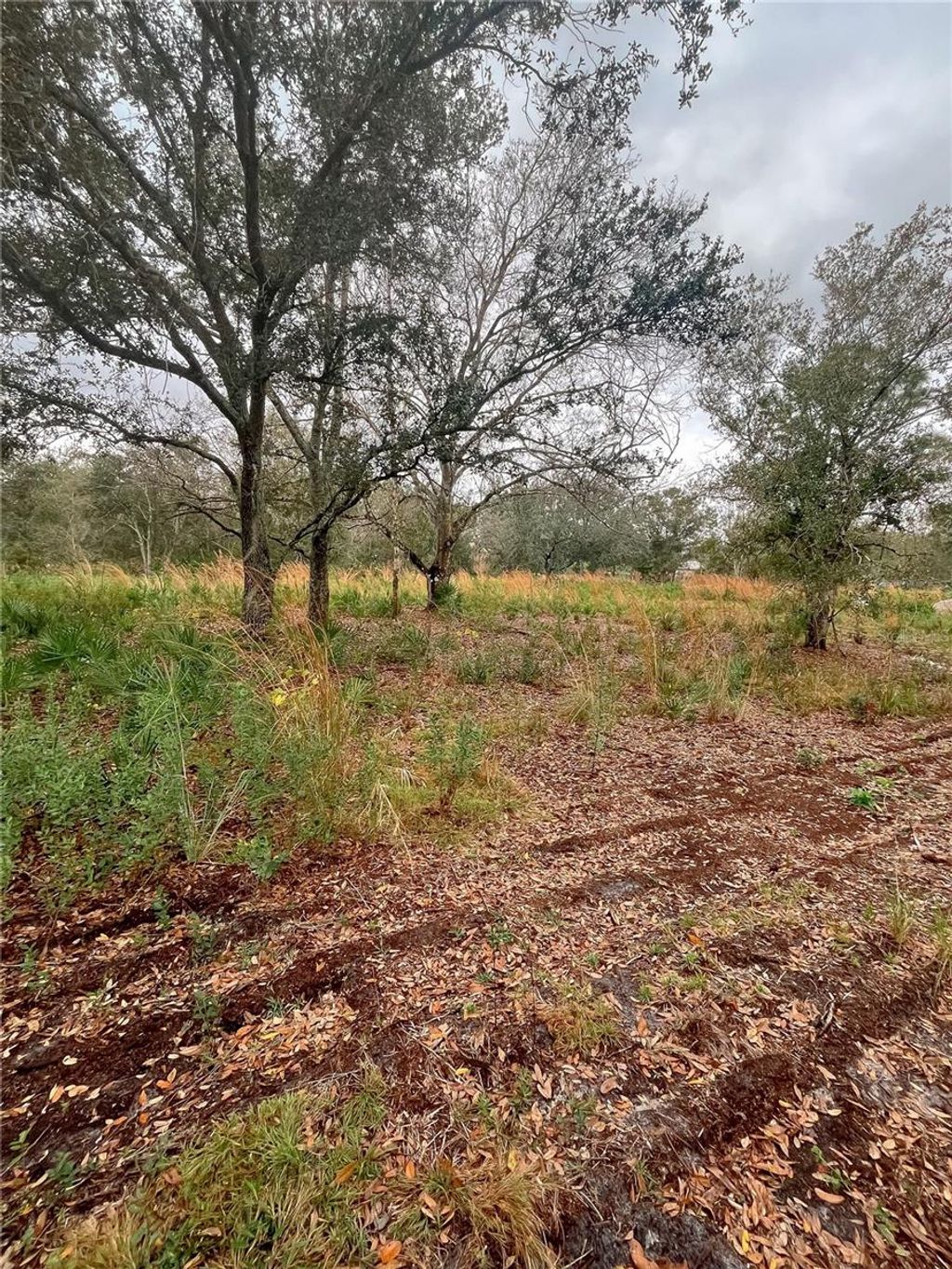 Photo of 4683 SE Rye Avenue, Arcadia, FL 34266 (MLS # C7520295)