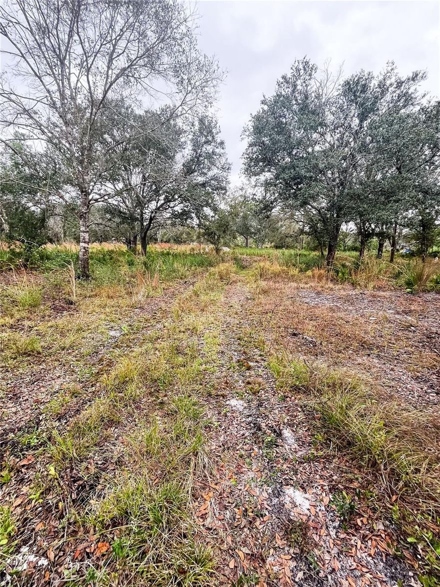 Picture your future here: This 1.45-acre AG-zoned lot is already cleared, making it easy to bring your plans to life. With a well in place, two culverts installed, and multiple truckloads of dirt added, much of the heavy lifting is already done. Whether you envision a custom homesite, a small farm, or a peaceful country retreat, this property offers the space, flexibility, and rural charm buyers are searching for. Enjoy open skies, room to spread out, and the freedom that comes with agricultural zoning-all while staying within reach of town.
 Buyer to verify with DeSoto County Building and Zoning that the property is suitable for their intended use.