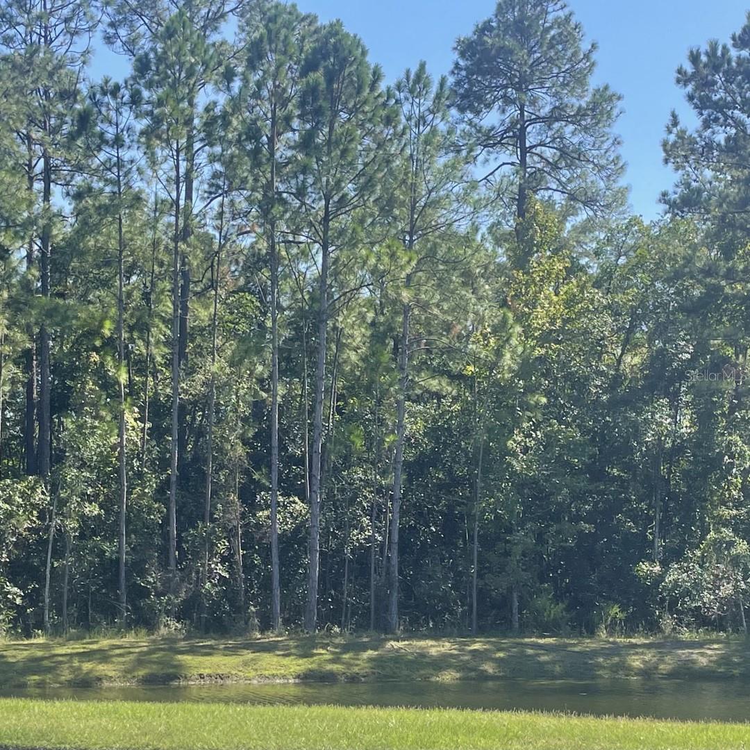 ORTEGA BLUFFS - Residential