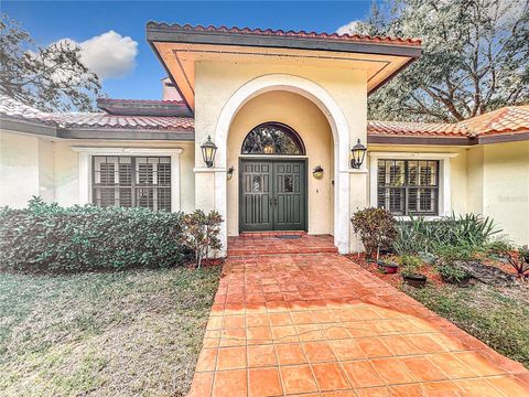 A home in MOUNT DORA