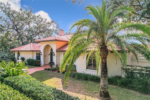 A home in MOUNT DORA