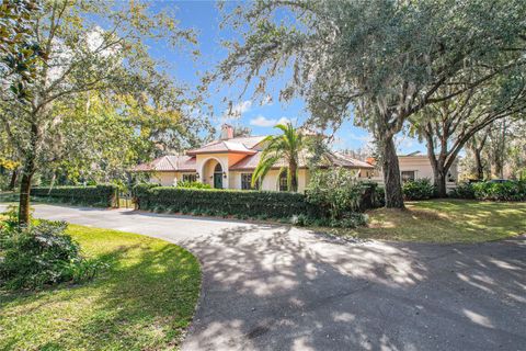 A home in MOUNT DORA