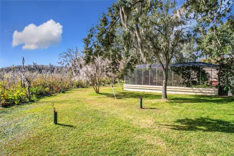 A home in MOUNT DORA