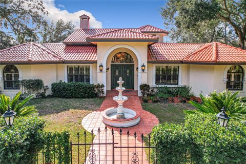 A home in MOUNT DORA