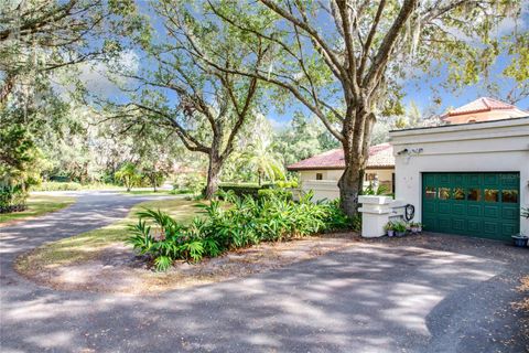 A home in MOUNT DORA