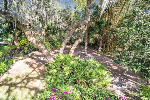 A home in MOUNT DORA