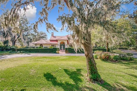 A home in MOUNT DORA