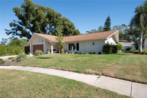 A home in PALM HARBOR