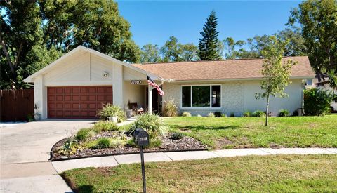 A home in PALM HARBOR