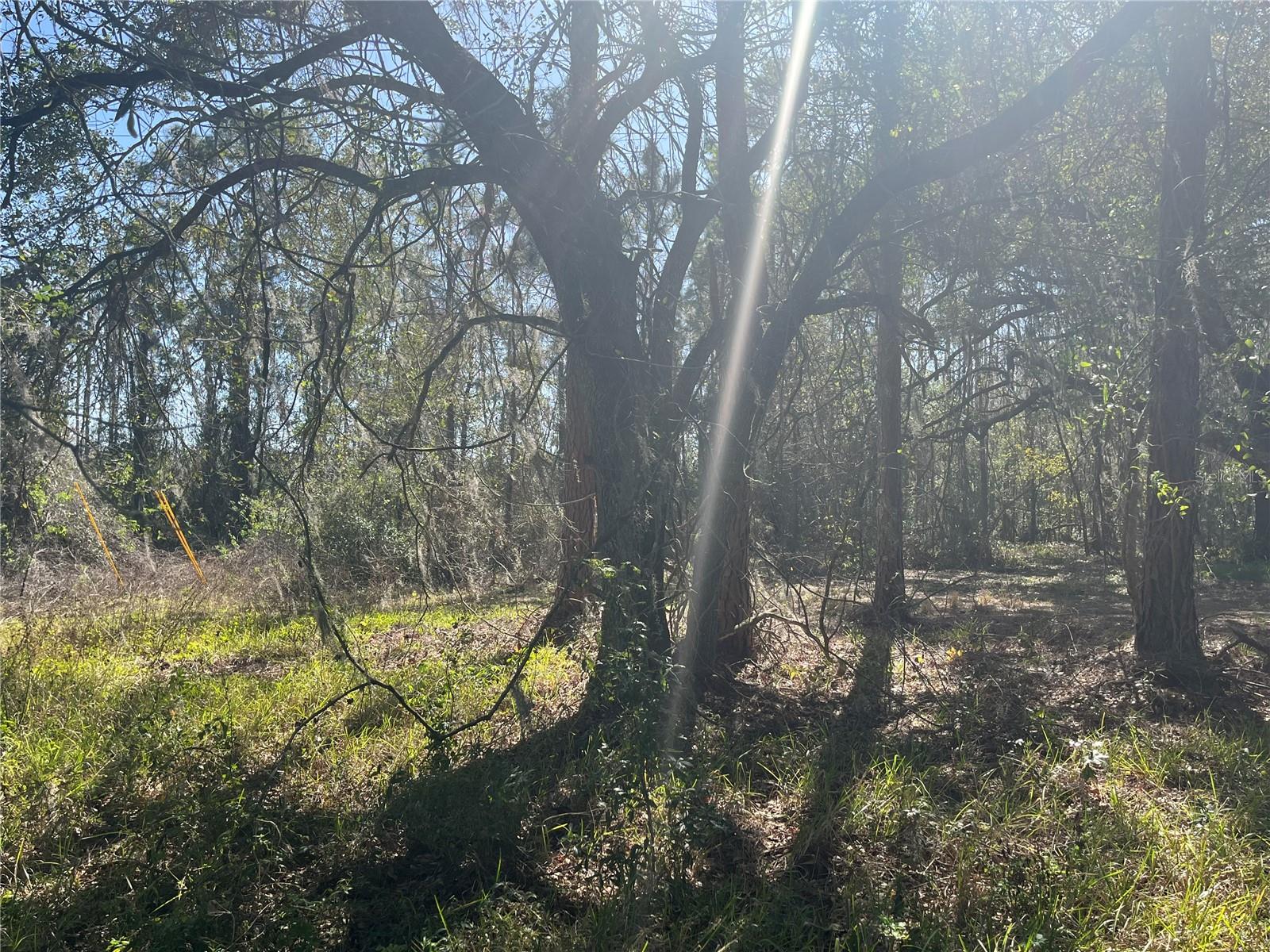 GROVELAND FARMS TR 51 TR 52 - Land