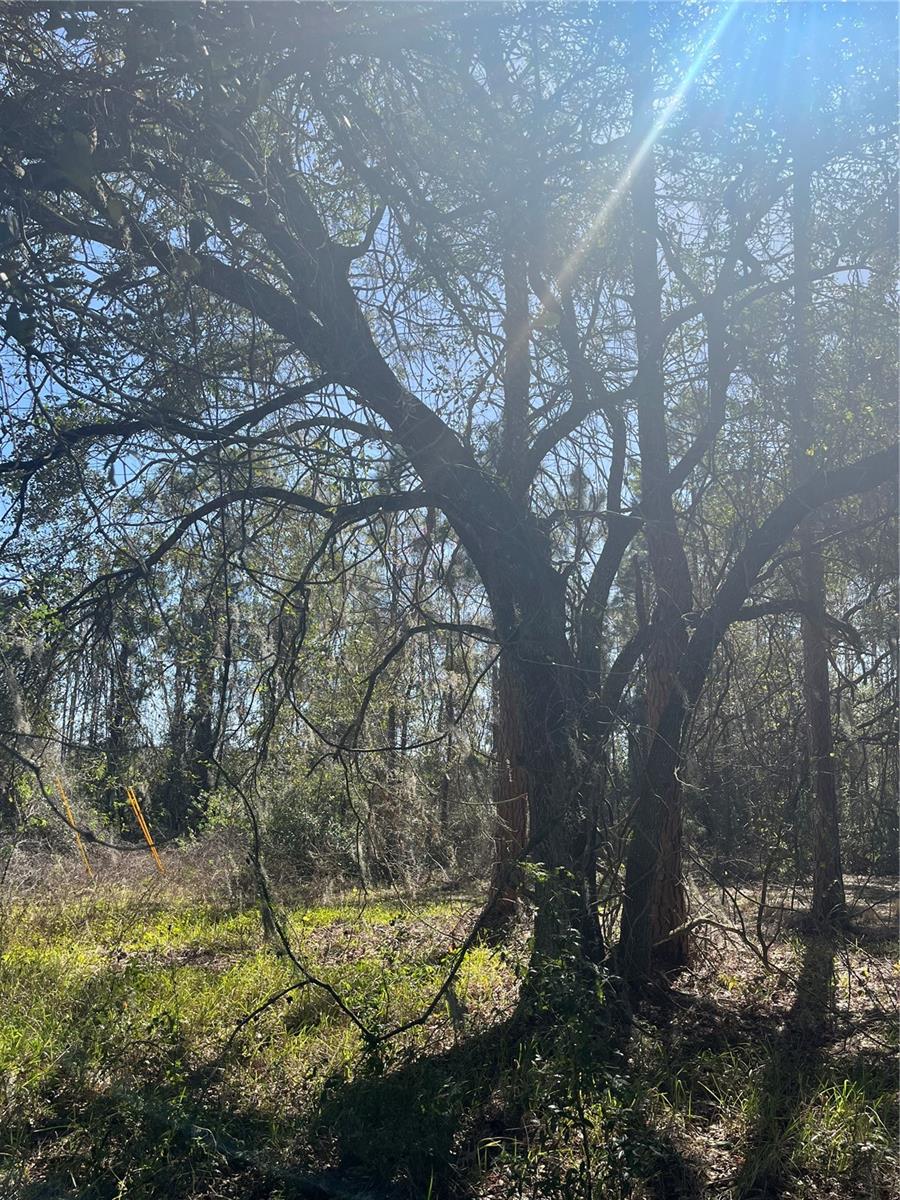 GROVELAND FARMS TR 51 TR 52 - Land